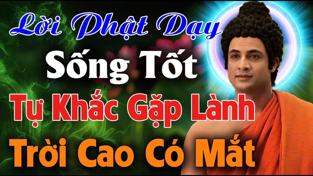 LỜI PHẬT DẠY: SỐNG TỐT TỰ KHẮC GẶP LÀNH - TRỜI CAO CÓ MẮT, KHÔNG CẦN HƠN THUA | An Tịnh Bảo