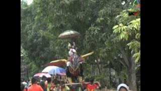 Singa Dangdut Putra Nyai Sariti - Cinta Ning Lamunan