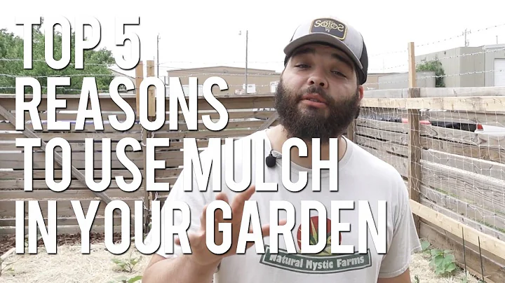 Top 5 Reasons To Use Mulch In Your Garden
