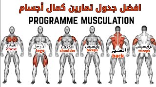 افضل جدول تمارين كمال أجسام لجميع العضلات للمحترفينprogramme musculation