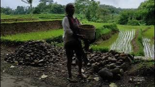 Iwan Fals 'IBU' (video cover story WA)