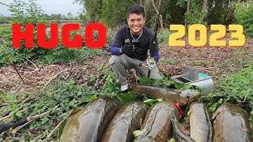 CÂU CÁ LÓC : NĂM MỚI TỔ ĐÃI, KHAI CẦN BẮT HUGO #5râuđivàcâu #recaloc #caucaloc #fishing