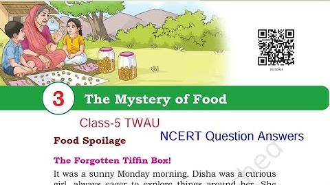 Question Answers ONLY / The Mystery of Food / Class-5 TWAU (EVS Chapter-3 Explanation By-KV Teacher 