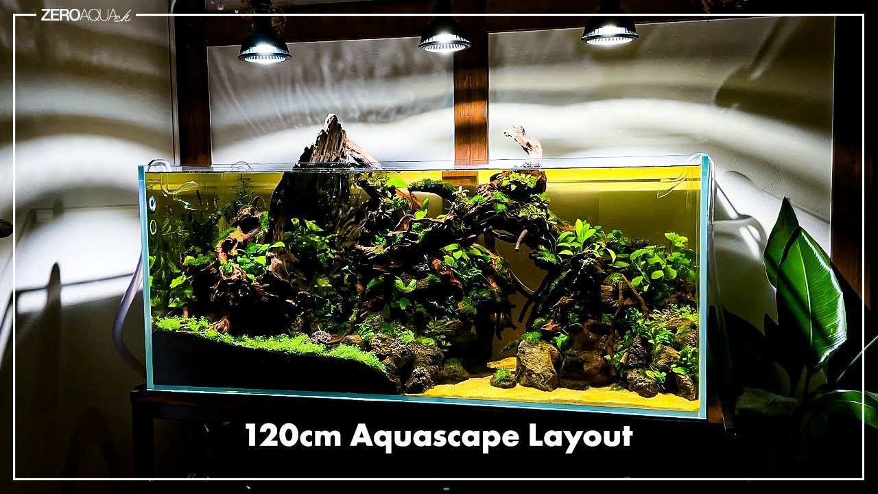 120cm水槽 【一部崩壊・注水・栽植】からのブラックウォーター /aquascape/aquarium/120cm tank/vlog/