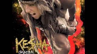 Kesha - Cannibal chords