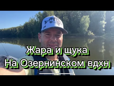 Щука и жара на Озернинском водохранилище!#эхолот #garmin #рыбалка #спининг
