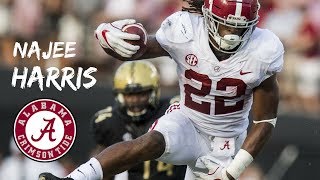 Najee Harris || &quot;The Hurdler&quot; || Alabama Highlights || 2017