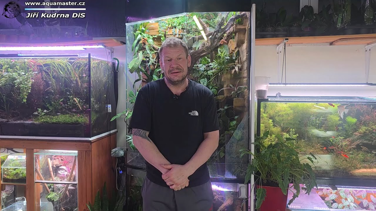 Podrobnosti z našeho ShowRoomu, kde můžete vvybírat svůj nákup