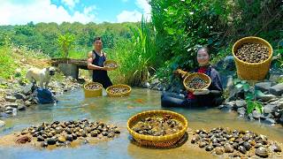 4 Hours Nonstop: Farm to Market to Meal! Harvest Clams, Cook Clam Noodle Soup & Stir-Fried Clams