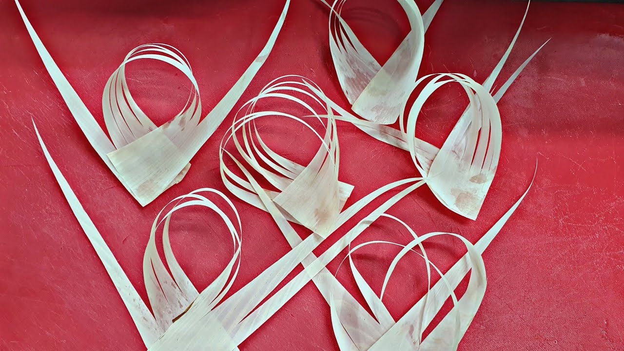 우수이다 자르는법 데코 박판지 회뜨는남자 sashimi