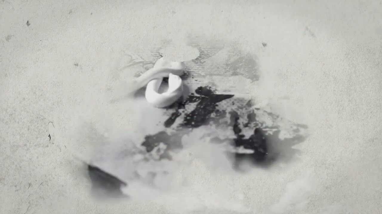 Faceless Documentary Video Sample