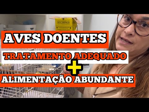 TRATANDO AVES DOENTES: A Alimentação Abundante é Crucial | CONSULTE SEMPRE UM VETERINÁRIO