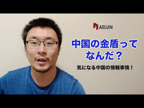 【情報流出！？】中国のファイヤーウォールの謎【金盾って何だ？】