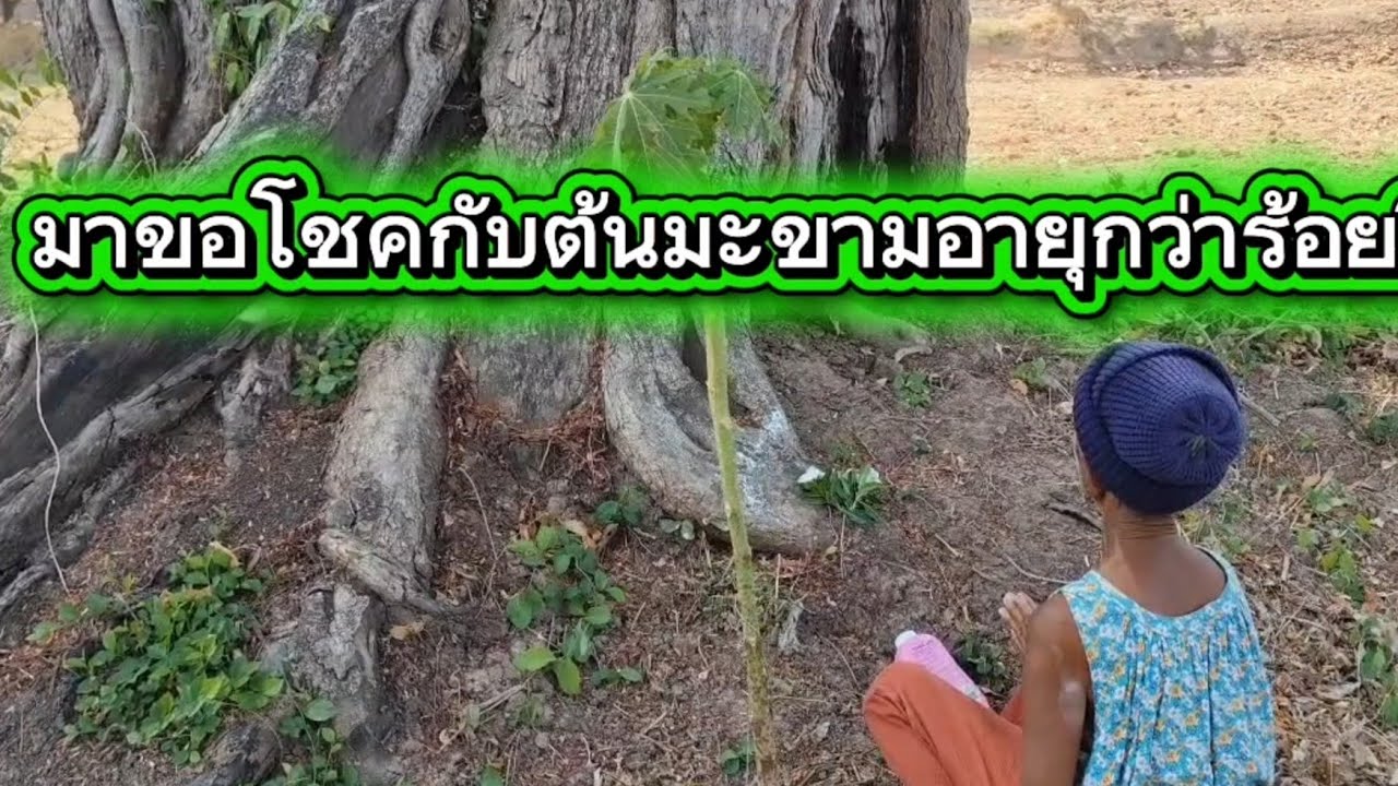 ขอโชคในวันแห่งความรัก