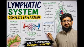 Lymphatic System in One Shot | Complete Lecture for MDCAT 2026