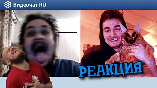 картинка: РЕБОРН СМОТРИТ ► страшный кот СКРИМЕР-ПРАНК в чатрулетке! ► РЕАКЦИЯ НА TheBrianMaps
