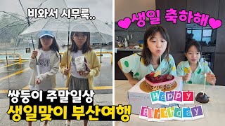 🎉생일🎉을 맞아 부산으로 여행떠나기!! 가는날부터 날씨가 안좋아서 시무룩한 뚜아뚜지.. ㅠㅠ 주말일상 브이로그 | 뚜아뚜지TV