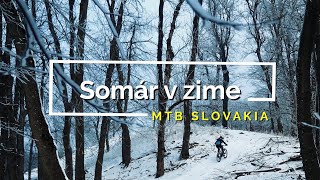 Na bicykli po Slovensku - Somár a Trail Biely kríž v zime [4K]