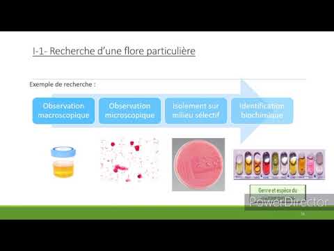 Vidéo: Modélisation Des Concentrations De Médicaments Antimicrobiens: Pharmacocinétique Comparative Des Antimicrobiens Céphalosporines Et Précision De La Mise à L'échelle Allométriqu