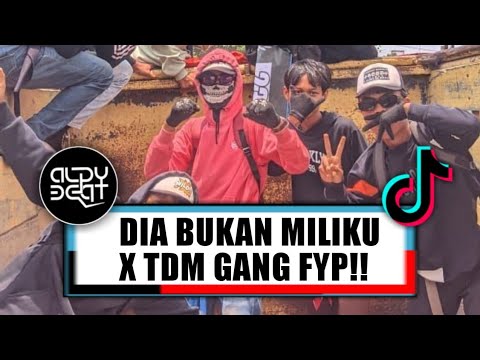 DJ BETA KAYA KAYA MARI YETI MARI YOO FYP 2026 ( ALDY BEAT FUNKY KUPANG )