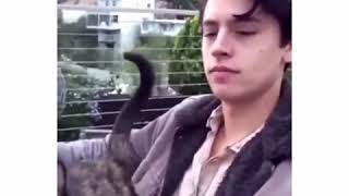 //Cole sprouse//.•°*Dancing*🎶