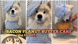 My Dog Bakes A Dog Friendly Bacon Peanut Er Cake Chef Boomer Recipe
