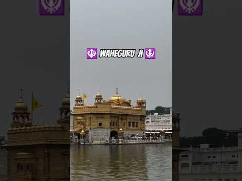 🪯 Waheguru  Ji 🪯 #shortvideo #Waheguru #WaheguruJi #SatnamWaheguru #Blessed #Faith #Gratitude
