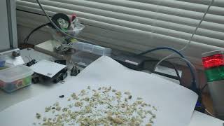 Dried Vegetable Classification Using AI | SolVision