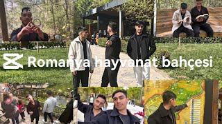 Orman’ya Hayvanat bahçesi turu ekiple ￼