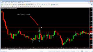 Celebrity Binary Options Touch/No-Touch Technique Wealth