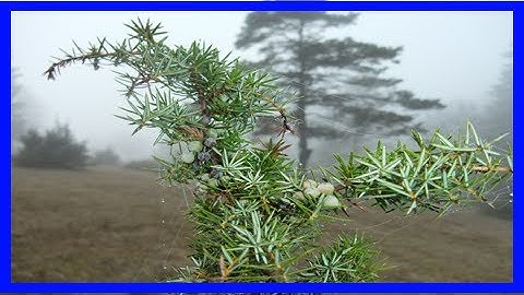 Breaking News | Giant qr code promotes tourism in northern china village