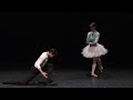 Swan Lake: A beginner's guide - Ballet Mime (The Royal Ballet)