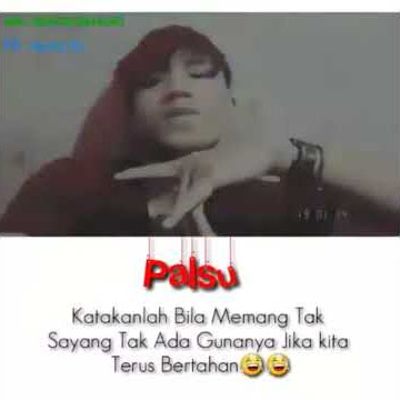Story wa palsu