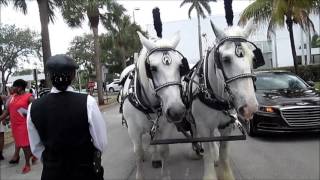 Horse & Carriage Rides & Events, Inc.