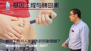 基因工程对人类的重大贡献：胰岛素是如何制作的？李永乐老师讲糖尿病医疗简史