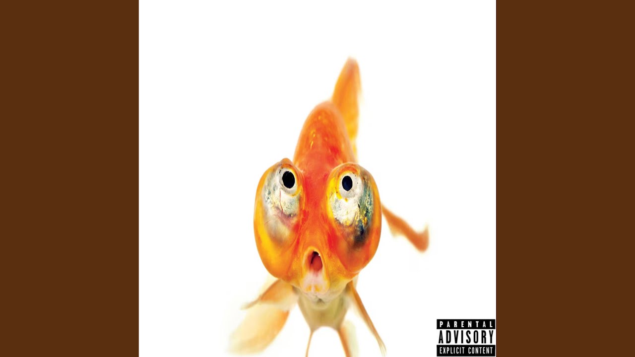 Watch goldfish on YouTube Watch goldfish on YouTube