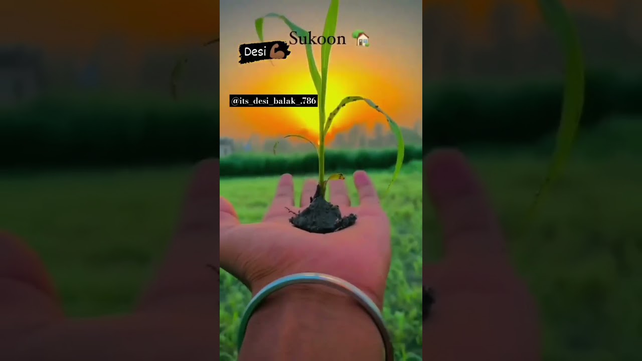 Desi 🌳🌿🚜.... 
