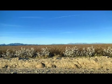 Brawley az Brawley az
