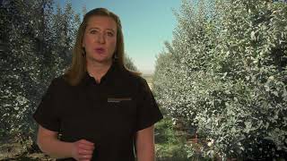 Idaho Produce Safety Series Part 2- Idaho Produce Safety Recordkeeping
