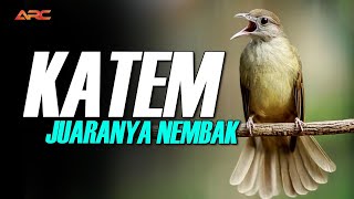 Download Lagu MASTERAN KAPAS TEMBAK GACOR NEMBAK NGEBREN | AUDIO JERNIH KUALITAS HD MP3 Download Lagu MASTERAN KAPAS TEMBAK GACOR NEMBAK NGEBREN | AUDIO JERNIH KUALITAS HD MP3