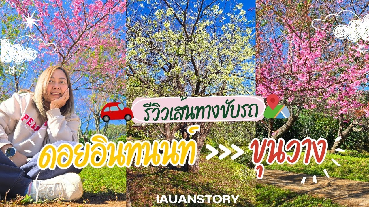 รีวิวเส้นทางจากยอดอินทนนท์ สู่ขุนวาง ดินแดนแห่งซากุระเมืองไทย ด้วย Toyota Yaris Cross | IAUAN Story