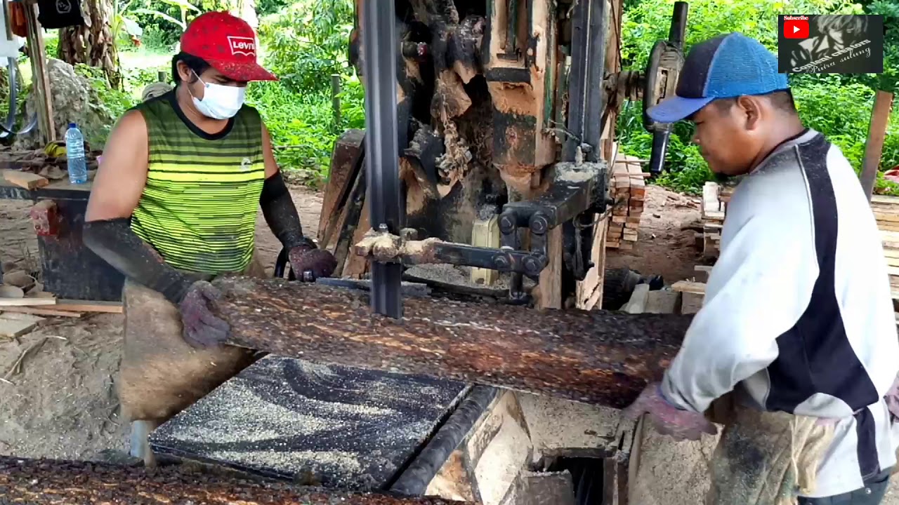  Kayu  Akasia  kayu  laban kayu  medang kayu  kledang 