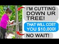 r/EntitledPeople - KAREN GETS INSTANT KARMA FOR MESSING WITH A TREE THAT ISN’T HERS!