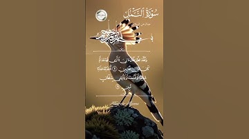تلاوة خاشعة مؤثرة 🌿 هدهد سليمان 🕊 سورة النمل 📖