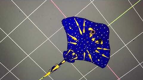 Finding Nemo: ray 53 bones, bingo part 4