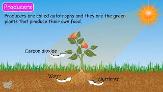 Role of decomposers | Our Ecosystem (Part-7) | Science | Grade-7,8 | Tutway | Role of decomposers | Our Ecosystem (Part-7) | Science | Grade-7,8 | Tutway |