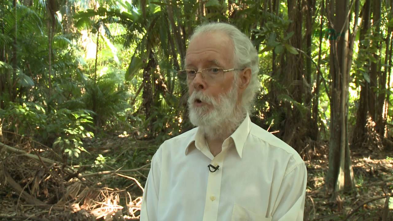 Criando solos férteis: lições dos estudos das terras pretas