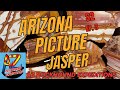 Arizona Picture Jasper at Layton&#39;s Claim S2 Ep.3