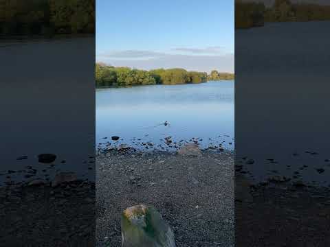 Pennington Flash, Leigh (April, 2022) #explore #shortvideo #trend #trending #short  #hiking #shorts