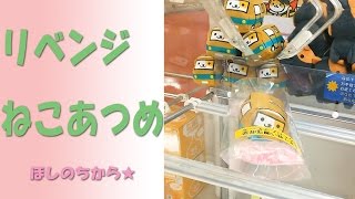 ねこあつめをリベンジしてきました。Neko-Atume  Revenge! (UFOキャッチャー)